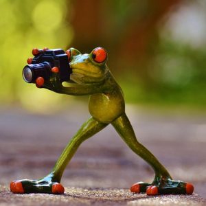 photographer-868106_640